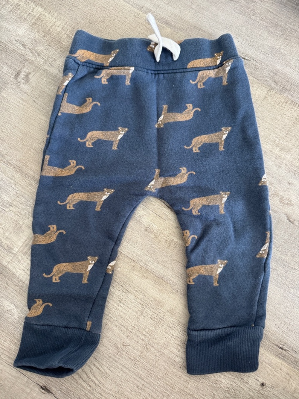 Rise little earthling Kids Sweatpants with Leopards 12-18